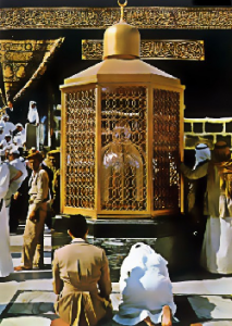 muqamibrahim